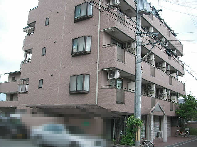 6202画像